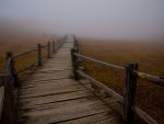 wooden path into the fog