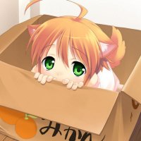 Neko In A Box