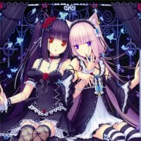 Dark and Light Neko