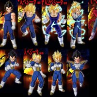 Vegeta Evolution