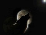 Wolf Moon