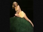 Marilyn Monroe38