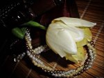 Pearls necklace and  tulip