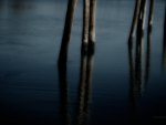 Posts in the water