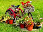 Bicycle in garden