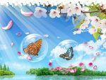 Butterfly Bubbles