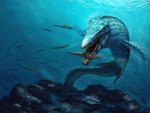 Mosasaur Reef