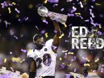 Ed Reed Super Bowl