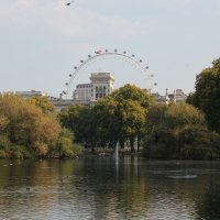 London Eye from St James's Park,London