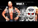 Relentless steve austin
