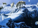Arctic Wolves Art