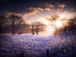 Sunrise Over The Snowy Field