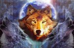 Wolf Abstract