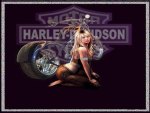 Harley Davidson