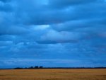 Blue Clouds over Wheat Field