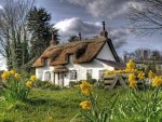 cottage in spring