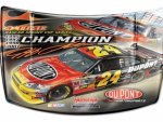 Jeff Gordon Champion
