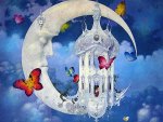 Butterfly Moon