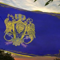 Great Alliance Banner