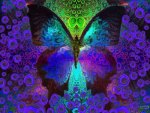 Butterfly Dreams