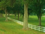 South Carolina Country Fields