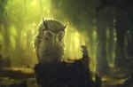 Owl in the forest