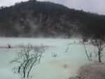 kawah putih
