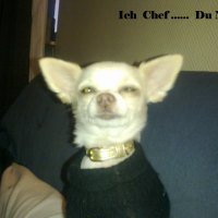 Living on the whole of Fame....