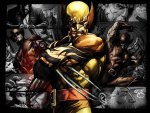 WOLVERINE
