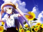 Kanade in Summer