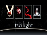 The Twilight Saga Book Covers
