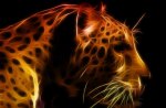 leopard art