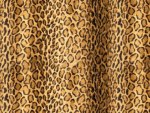 leopard,textures
