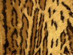 leopard print