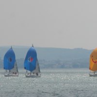 A flotilla of spinnakers
