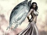 Beautiful angel
