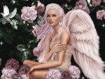 Pink Rose Angel