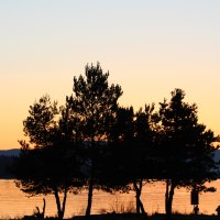 Nice day to go for a walk