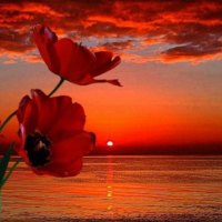 â™¥ Red Sunset â™¥