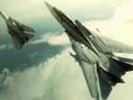 ace combat plane f 14