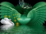Butterfly and Swan Fractal reflection
