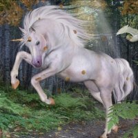 Unicorn