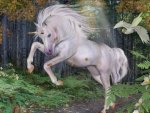Unicorn