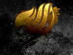 Fairy tail logo