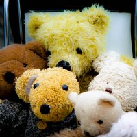Teddy Bear and Friends