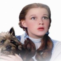 Dorothy and Toto (The Wizard of Oz)