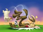 Wile E. Coyote