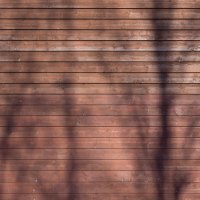 Wooden terracotta wall with tree shadown