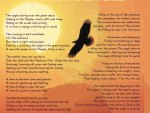 Soaring Eagle