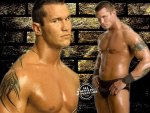 randy orton